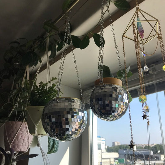 Wavey Home Starter Kit